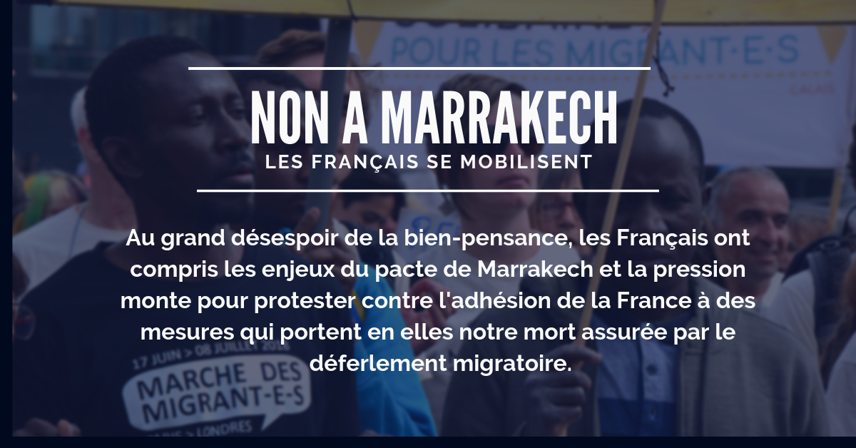 Read more about the article L’appel aux gilets jaunes : faites que le gouvernement Macron ne signe pas le pacte de Marrakech qui va vous marginaliser encore plus dans votre propre pays.