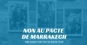 Read more about the article Le pacte de Marrakech est un des pires que pouvait signer la France. Plein de bons sentiments, il contient une condamnation à mort en attente pour notre pays et pour notre civilisation européenne.