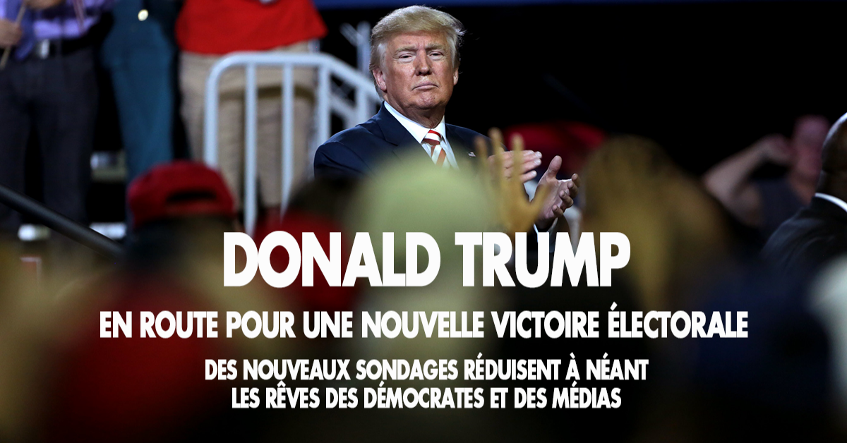 You are currently viewing En lisant la presse française ou les grands médias américains, nous pourrions penser que Trump est fini. Rien de plus faux. Ce qui se passe aux Etats-Unis casse les rêves de la gauche et de ses relais médiatiques. On se prépare pour une belle surprise électorale en 2020.