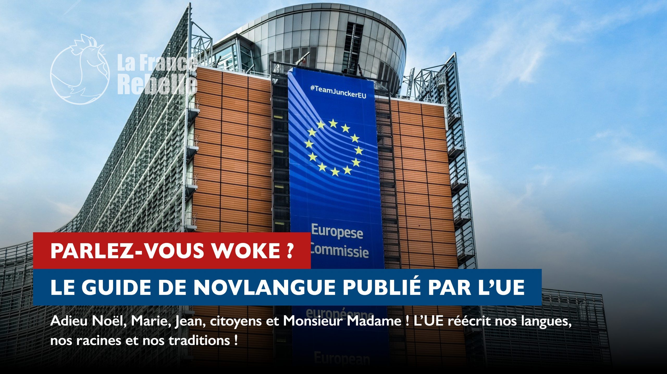 Read more about the article Parlez-vous Woke ?
